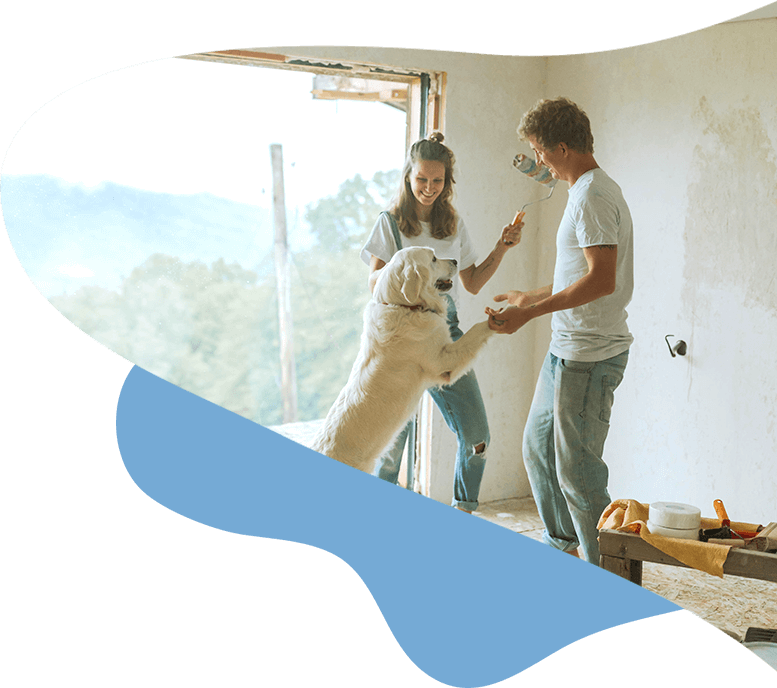 renovation excitement